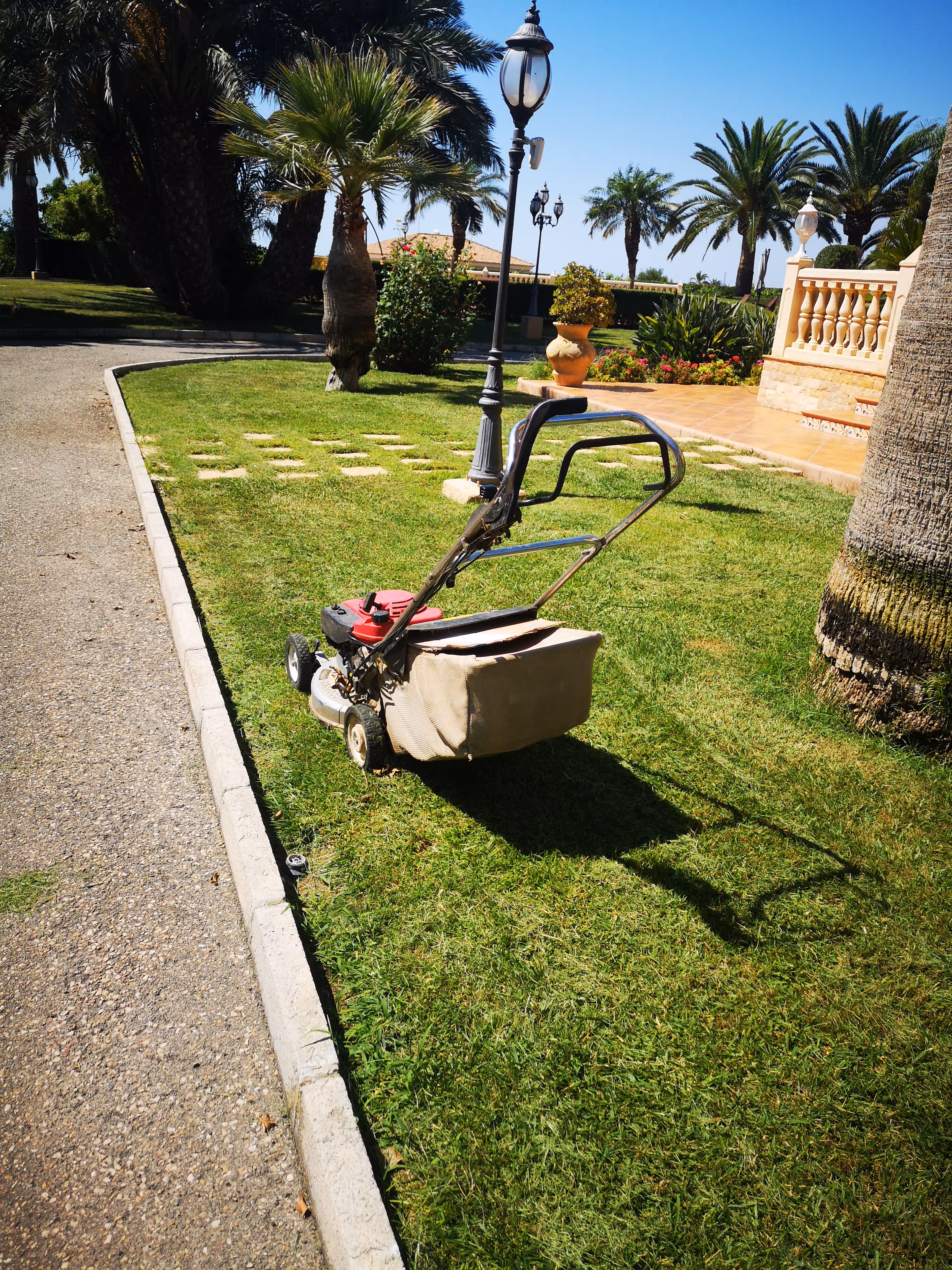 Jardín residencial con césped verde y parterres de flores en Elche