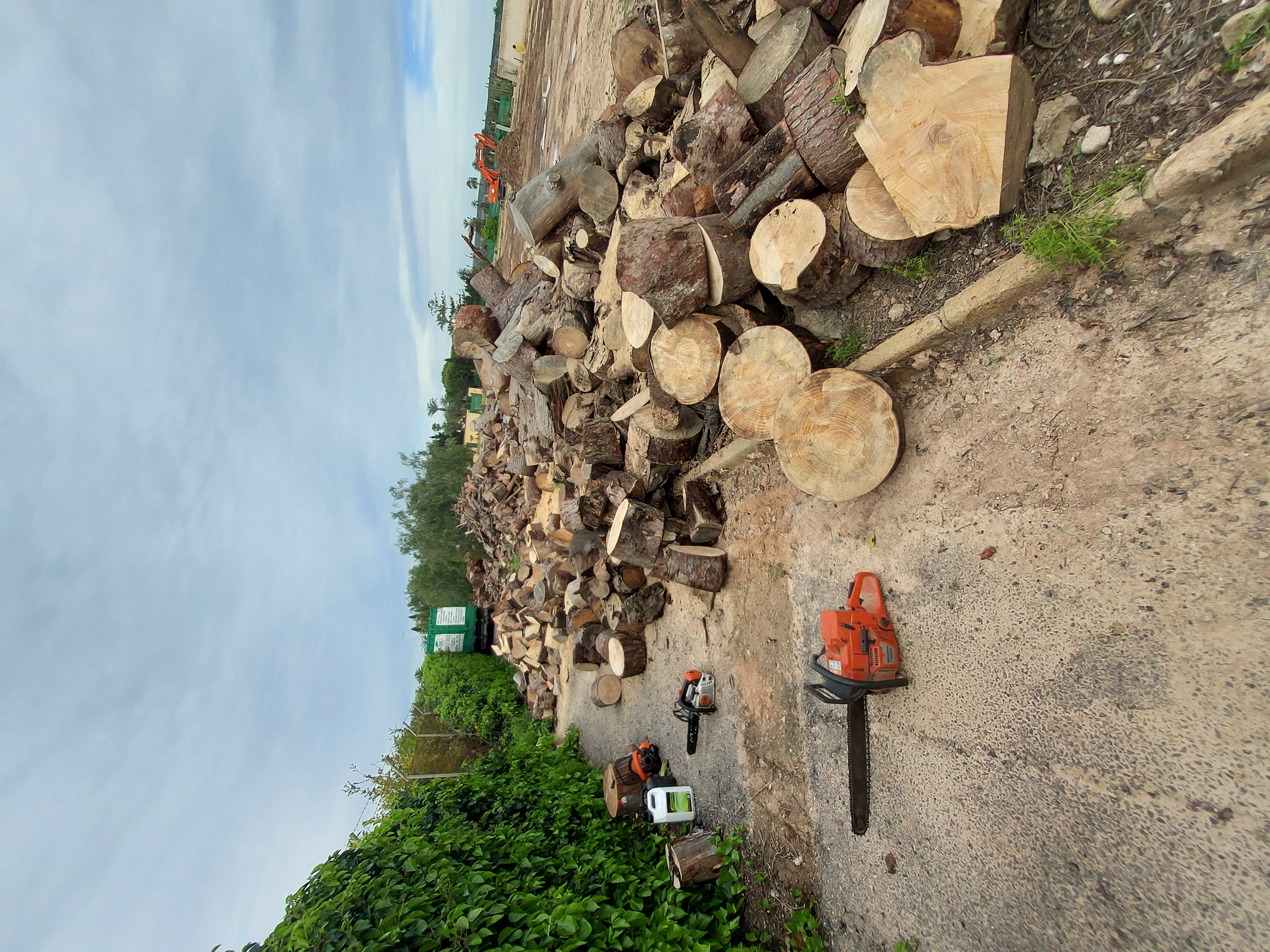 Limpieza de Parcela en La Marina - Proyecto de jardinería en Limpieza