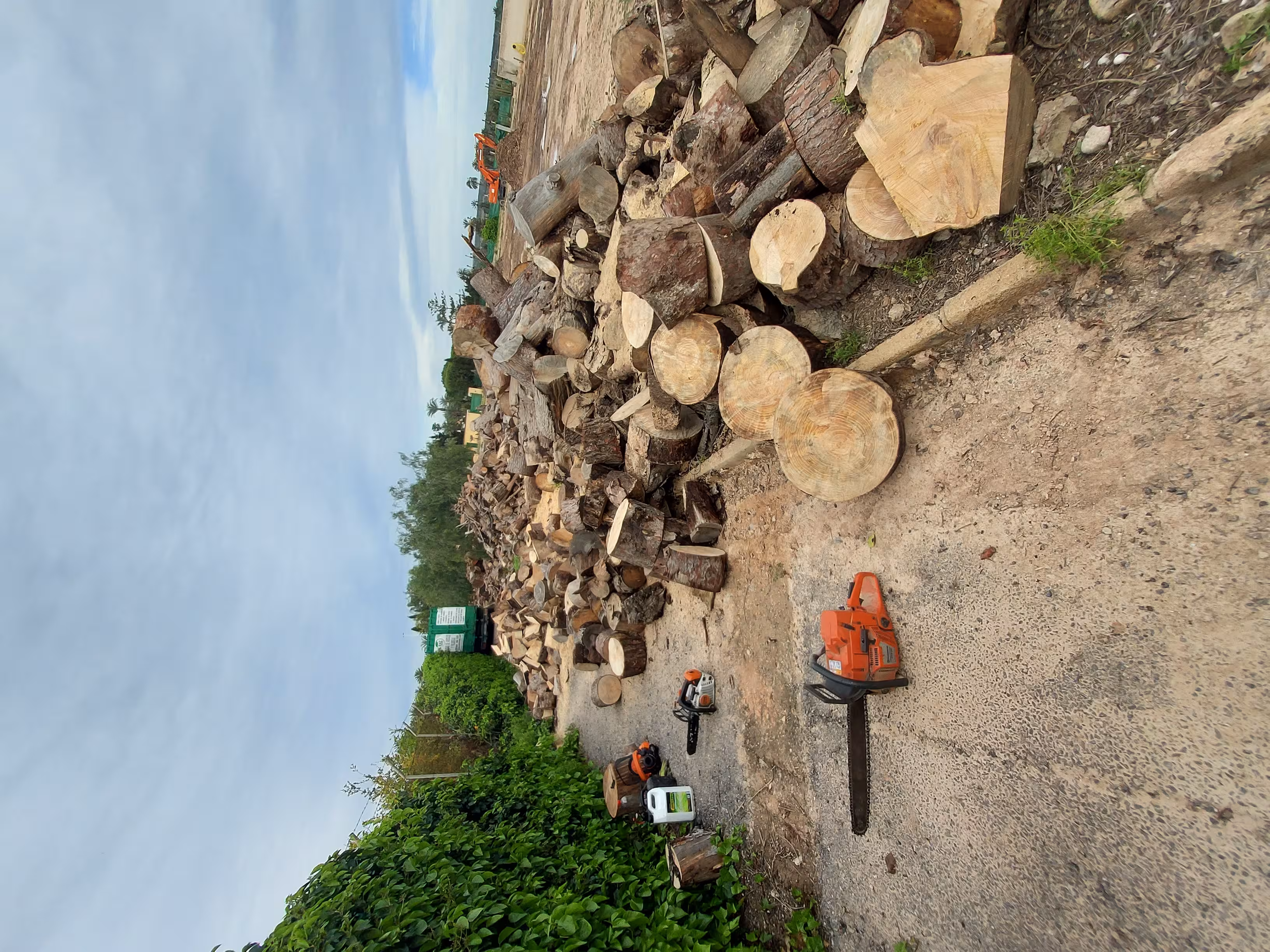 Limpieza de Parcela en La Marina - Proyecto de jardinería en Limpieza