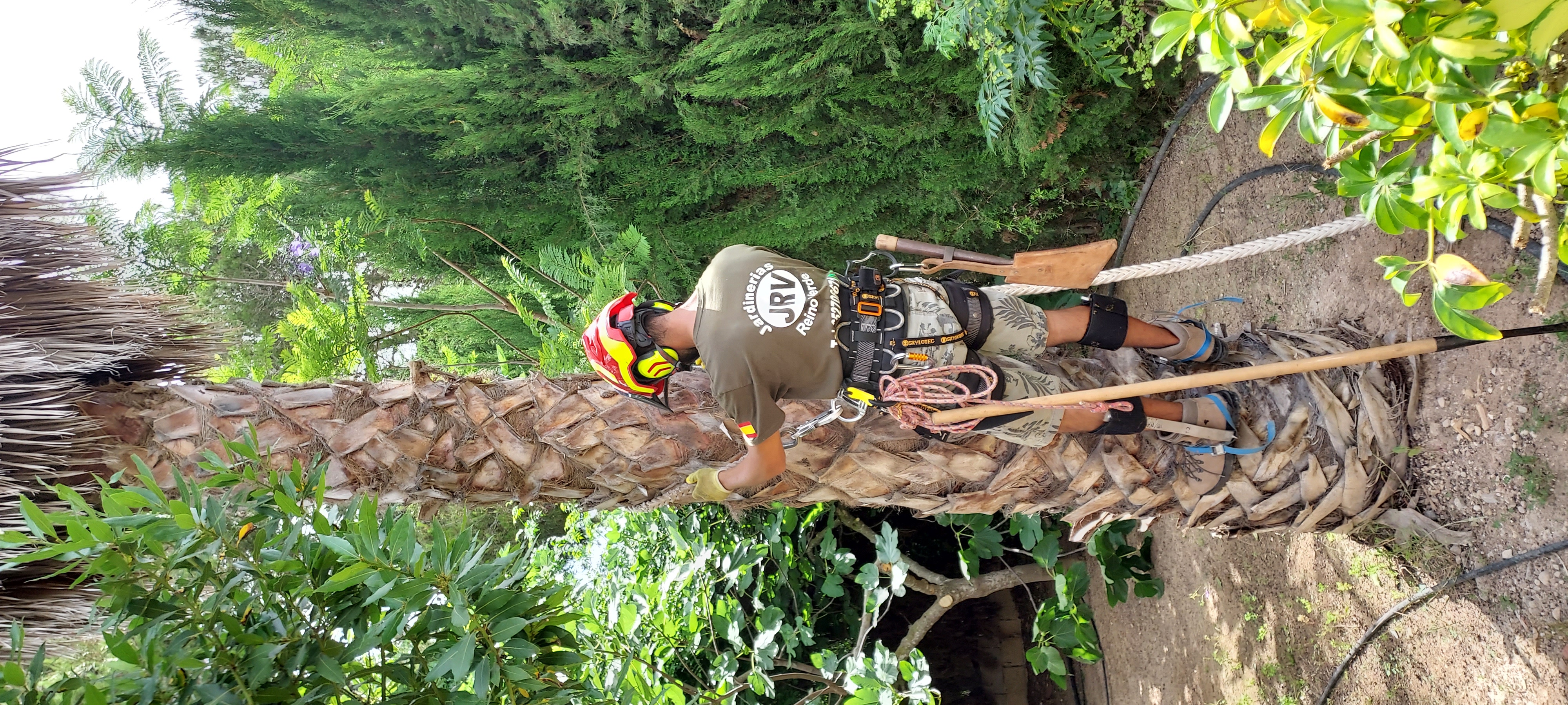 Transformación de jardín antes y después en La Marina