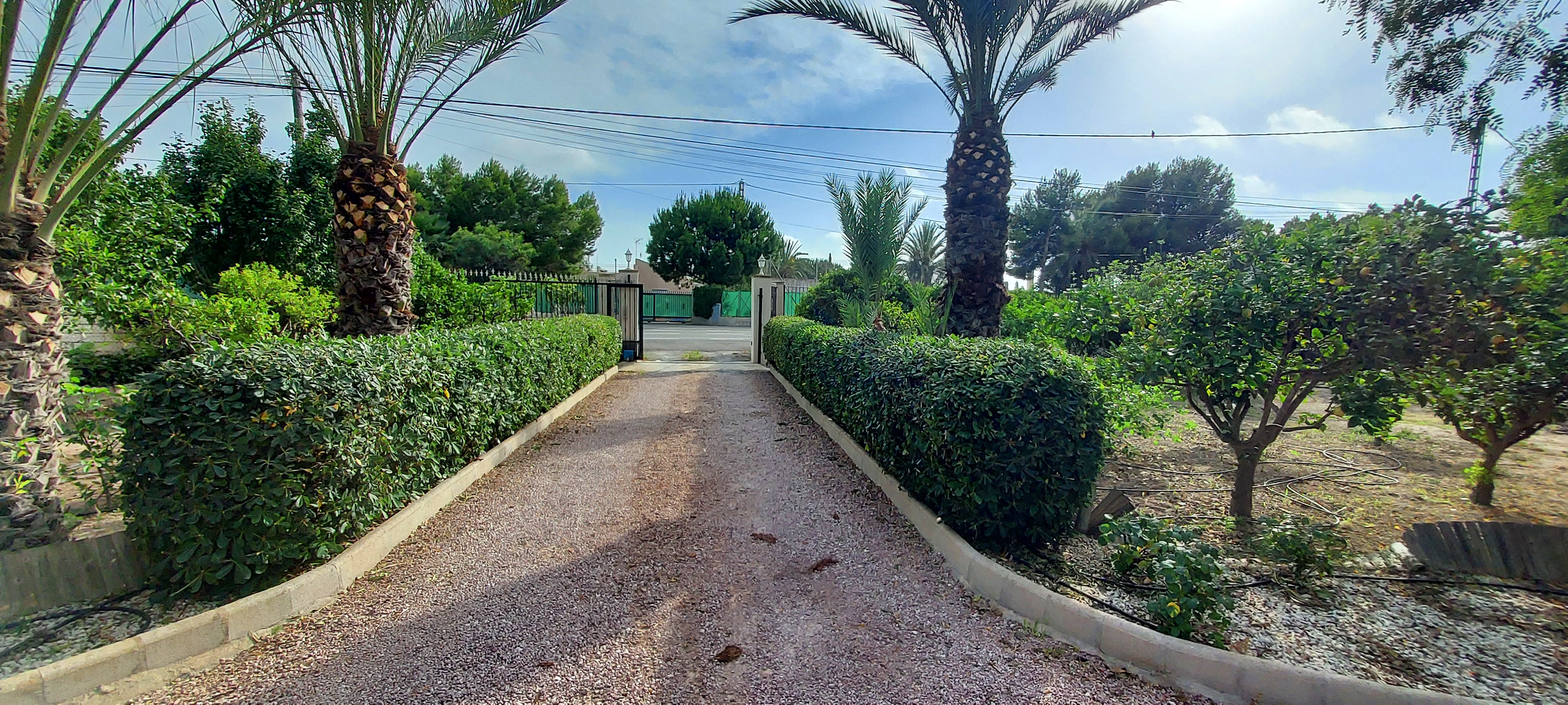 Jardín mediterráneo con palmeras y vegetación exuberante