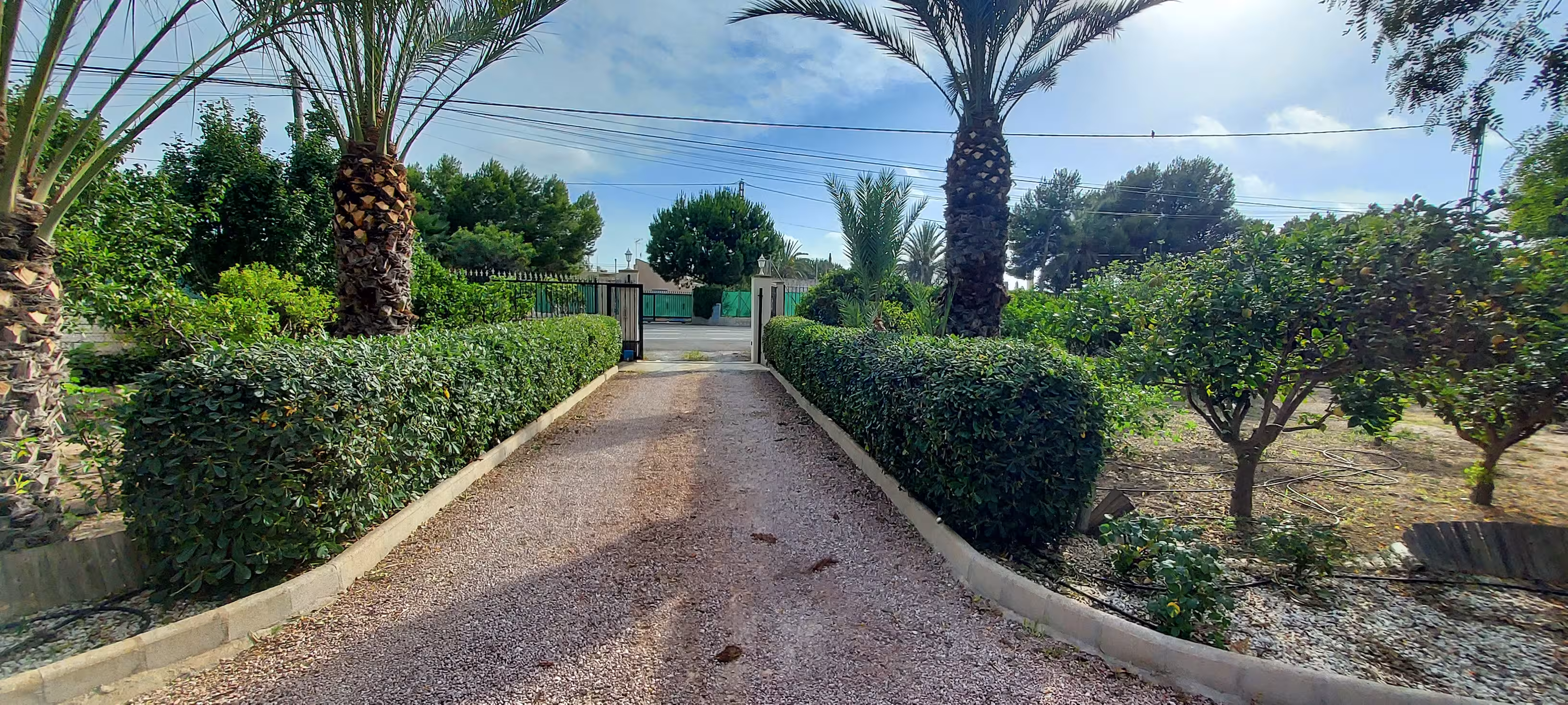 Jardín mediterráneo con palmeras y vegetación exuberante