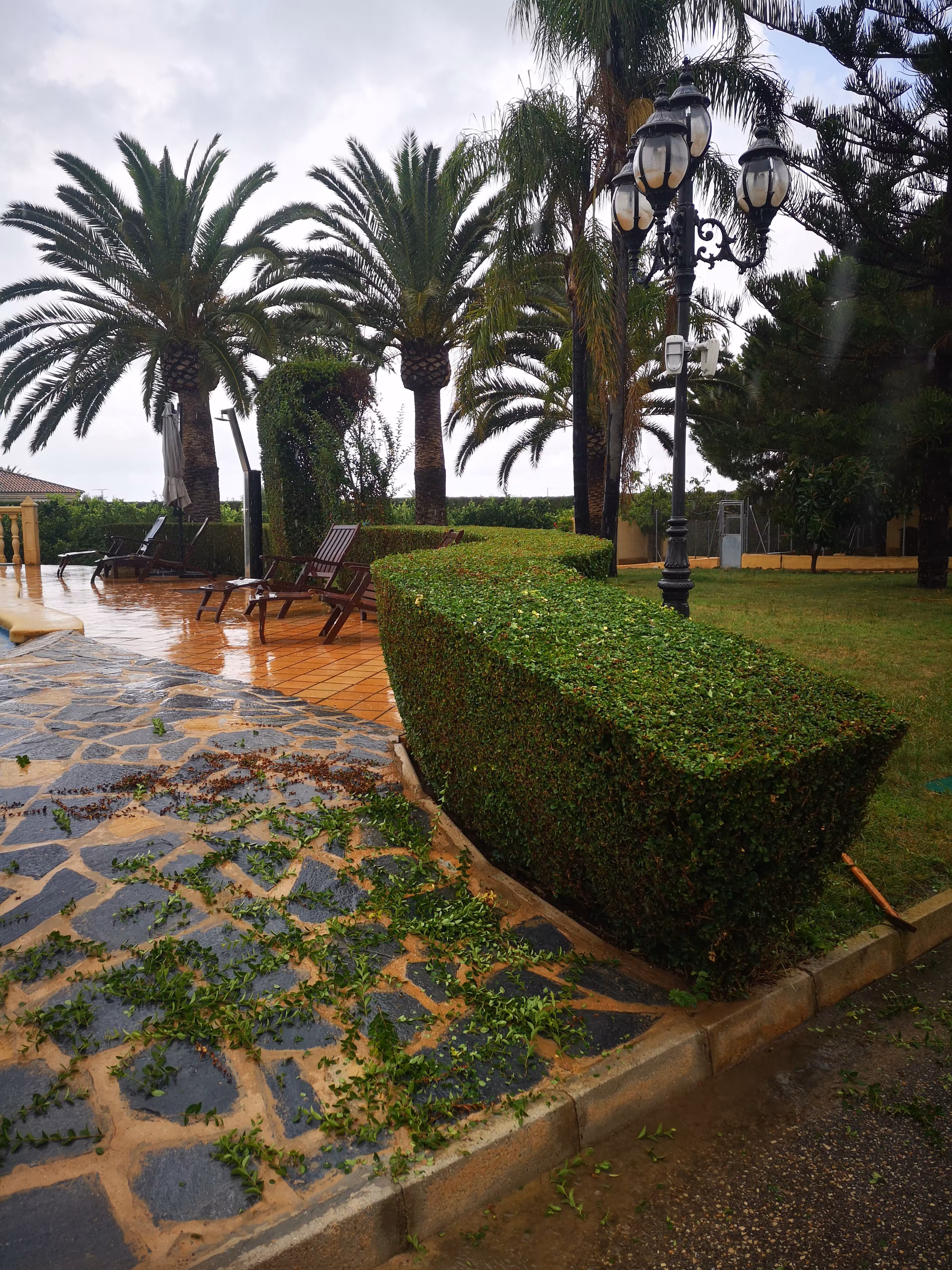 Jardín Residencial en Elche - Proyecto de jardinería en Diseño y Mantenimiento
