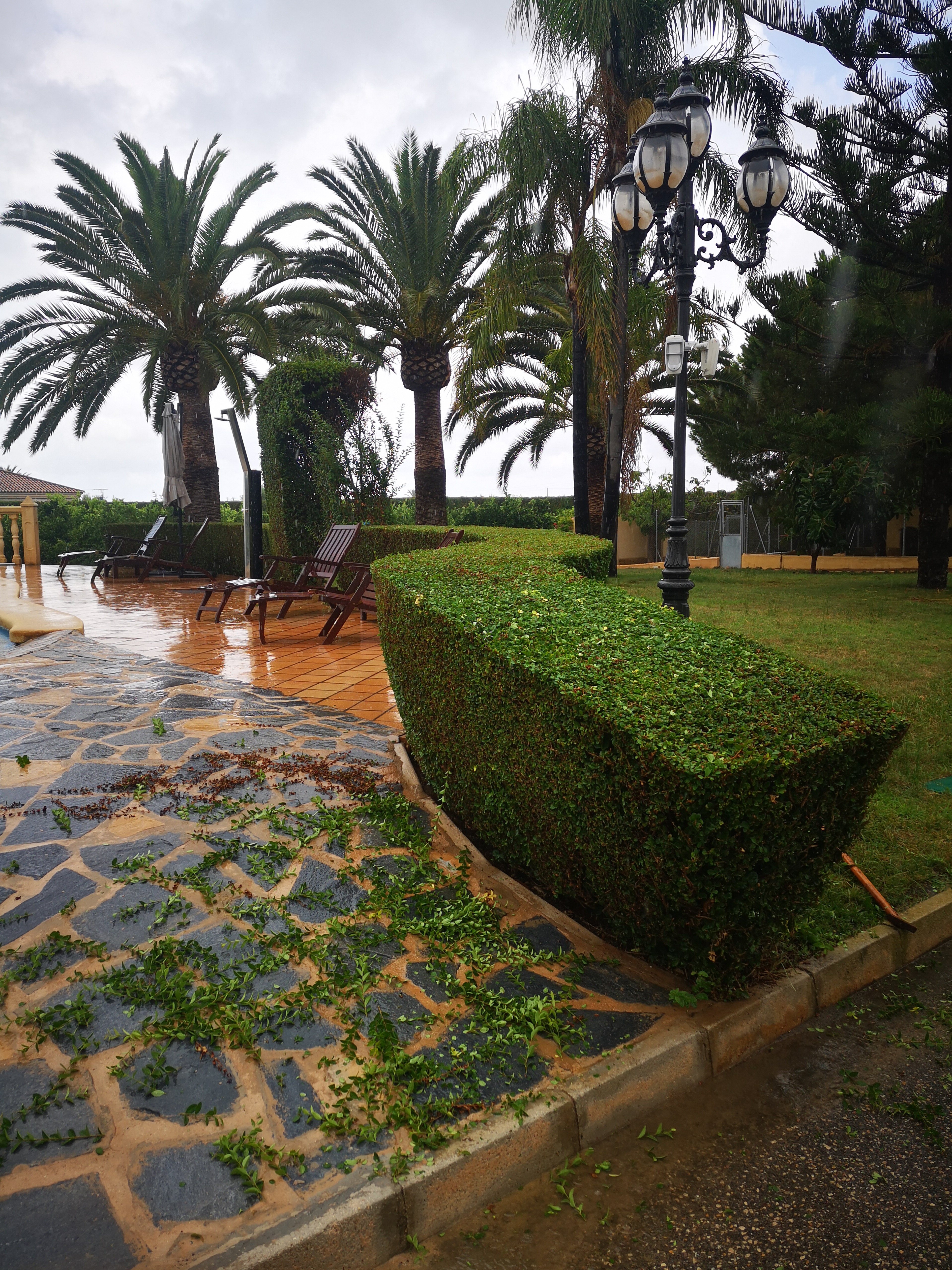 Jardín mediterráneo con palmeras y vegetación exuberante