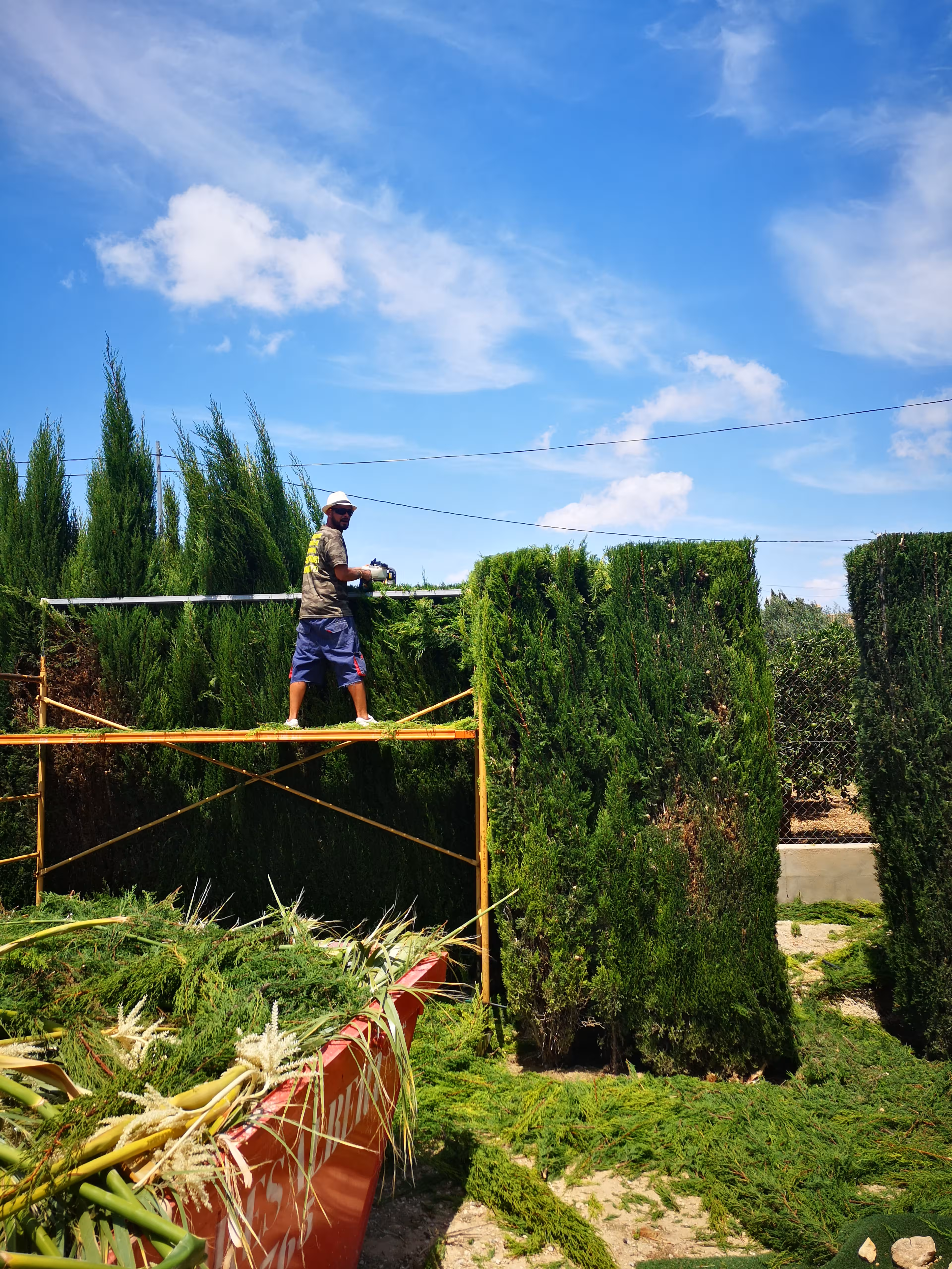 Jardín mediterráneo con palmeras y vegetación exuberante