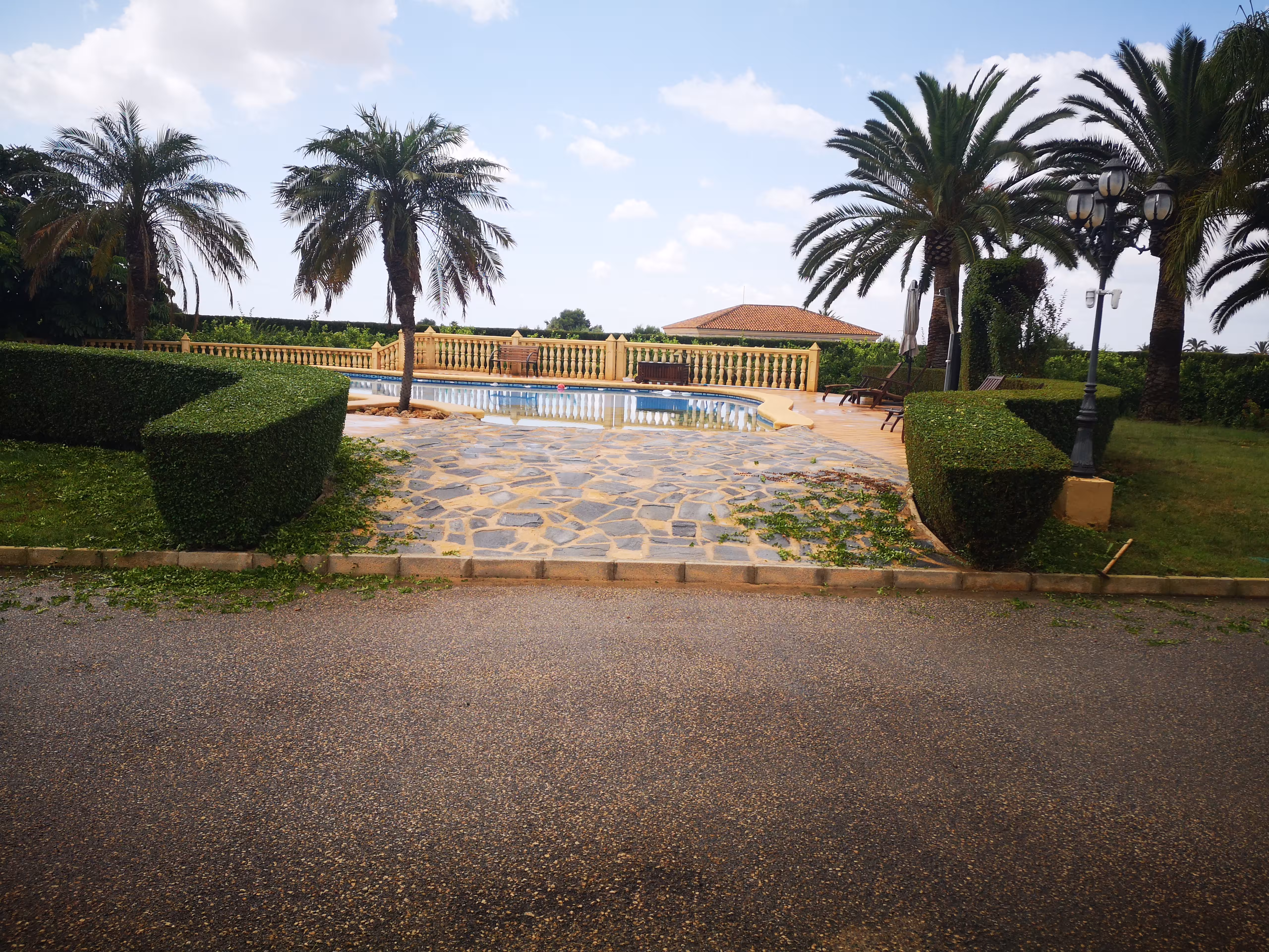 Jardín mediterráneo con palmeras y vegetación exuberante