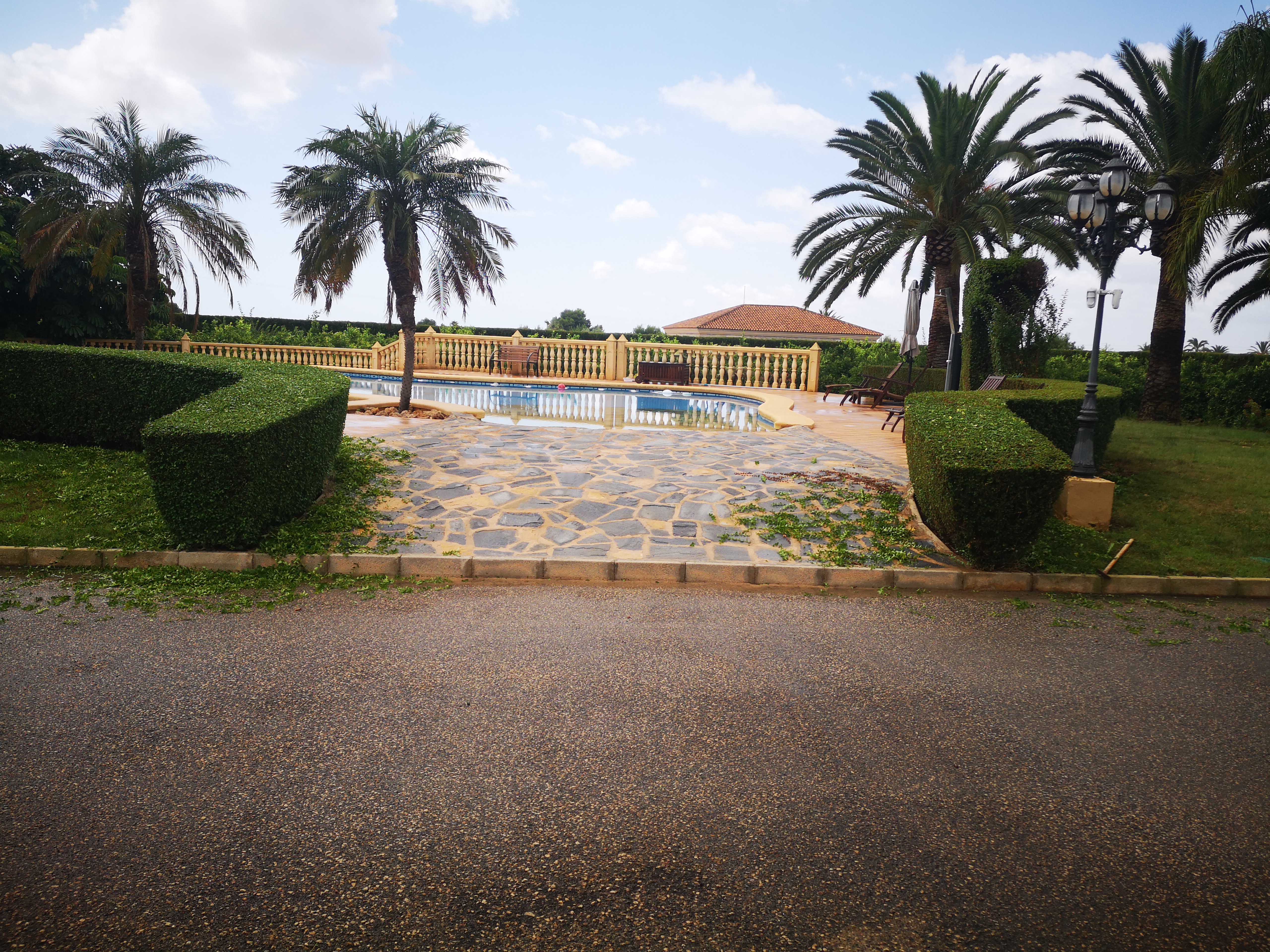 Poda Ornamental de Setos - Proyecto de jardinería en Poda